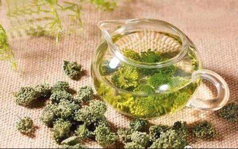 三七花泡水喝的功效